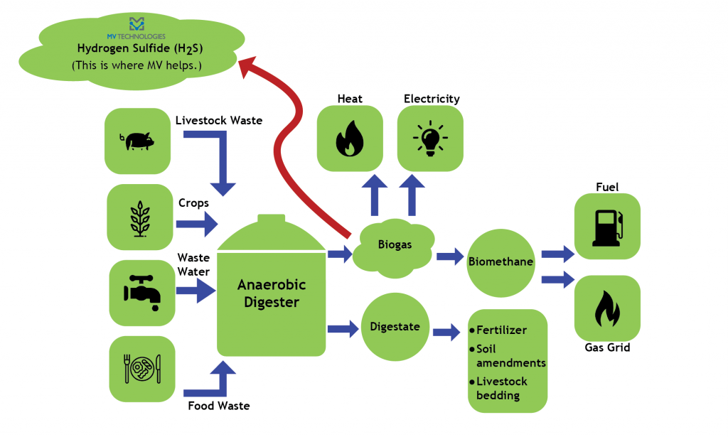 How organic overloads affect the anaerobic digesters microbiome