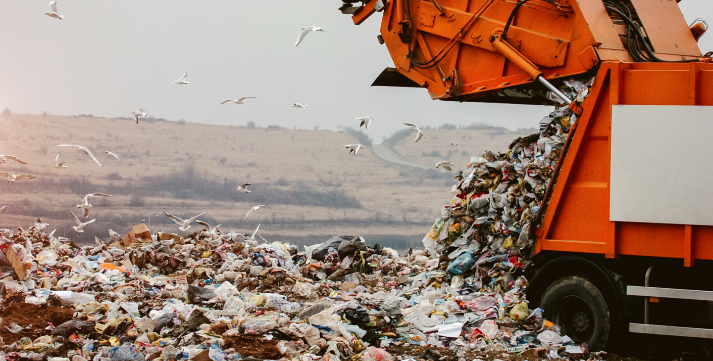 H2S Removal from Landfill Gas