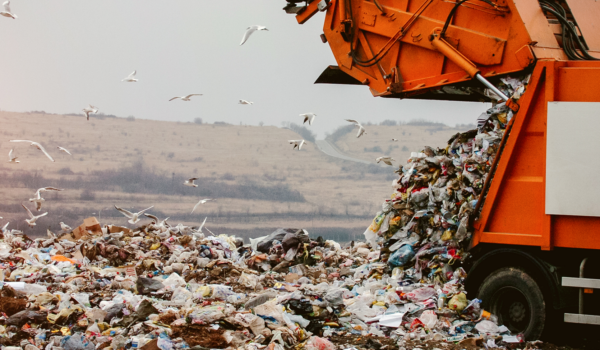 H2S Removal from Landfill Gas