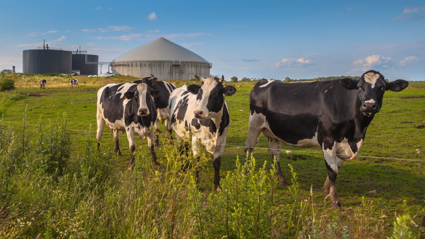 agricultural facility monitoring the H2S removal process