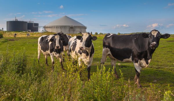 agricultural facility monitoring the H2S removal process